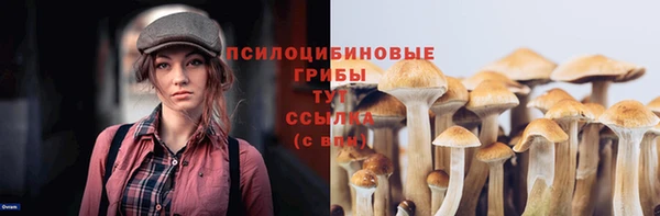 мяу мяу мука Богданович
