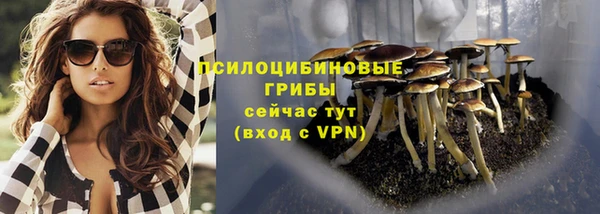 шишки Бугульма